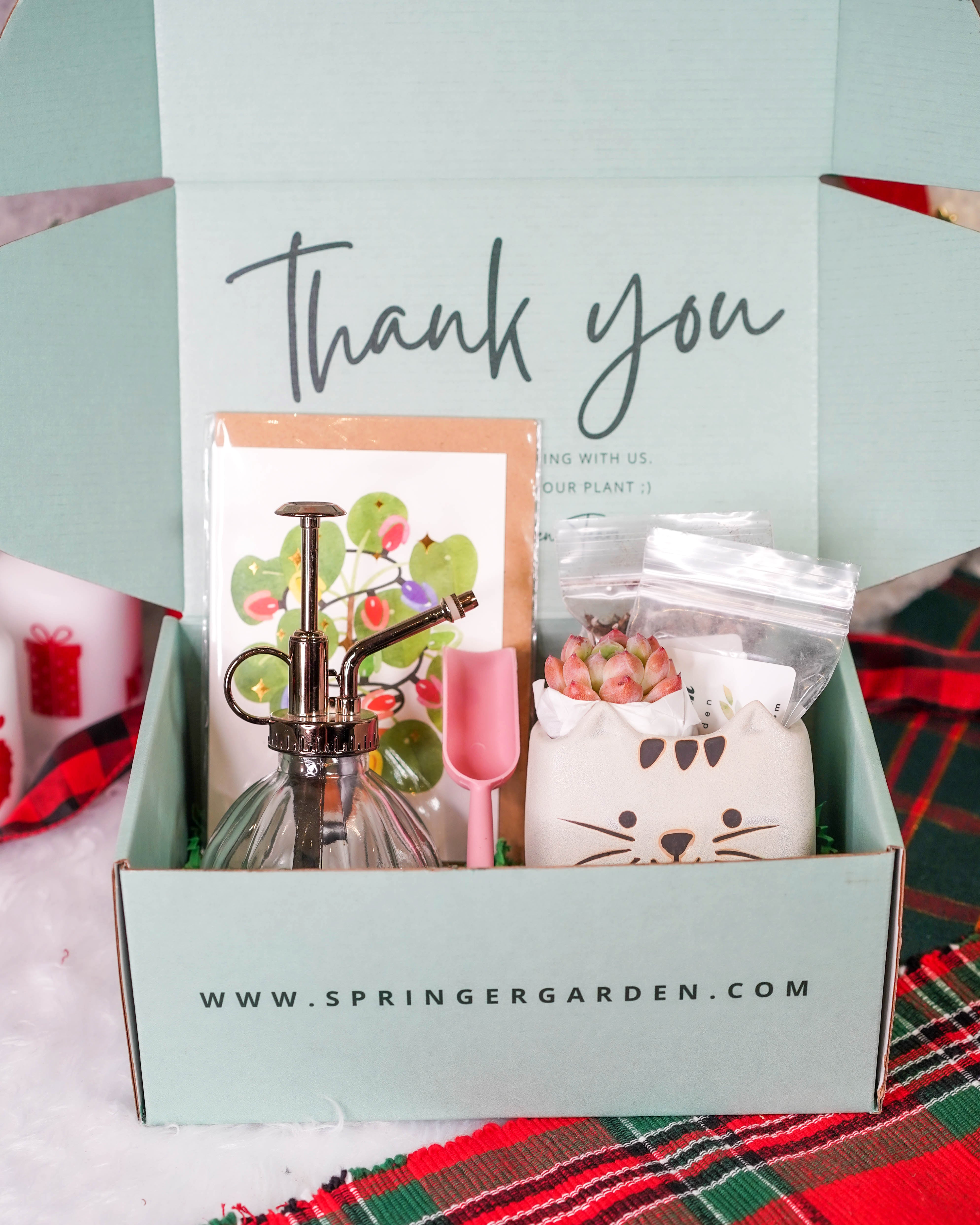 succulent gift box ideas Cat Parents" Premium Korean-Succulent Gift Box – Springer Hobbies