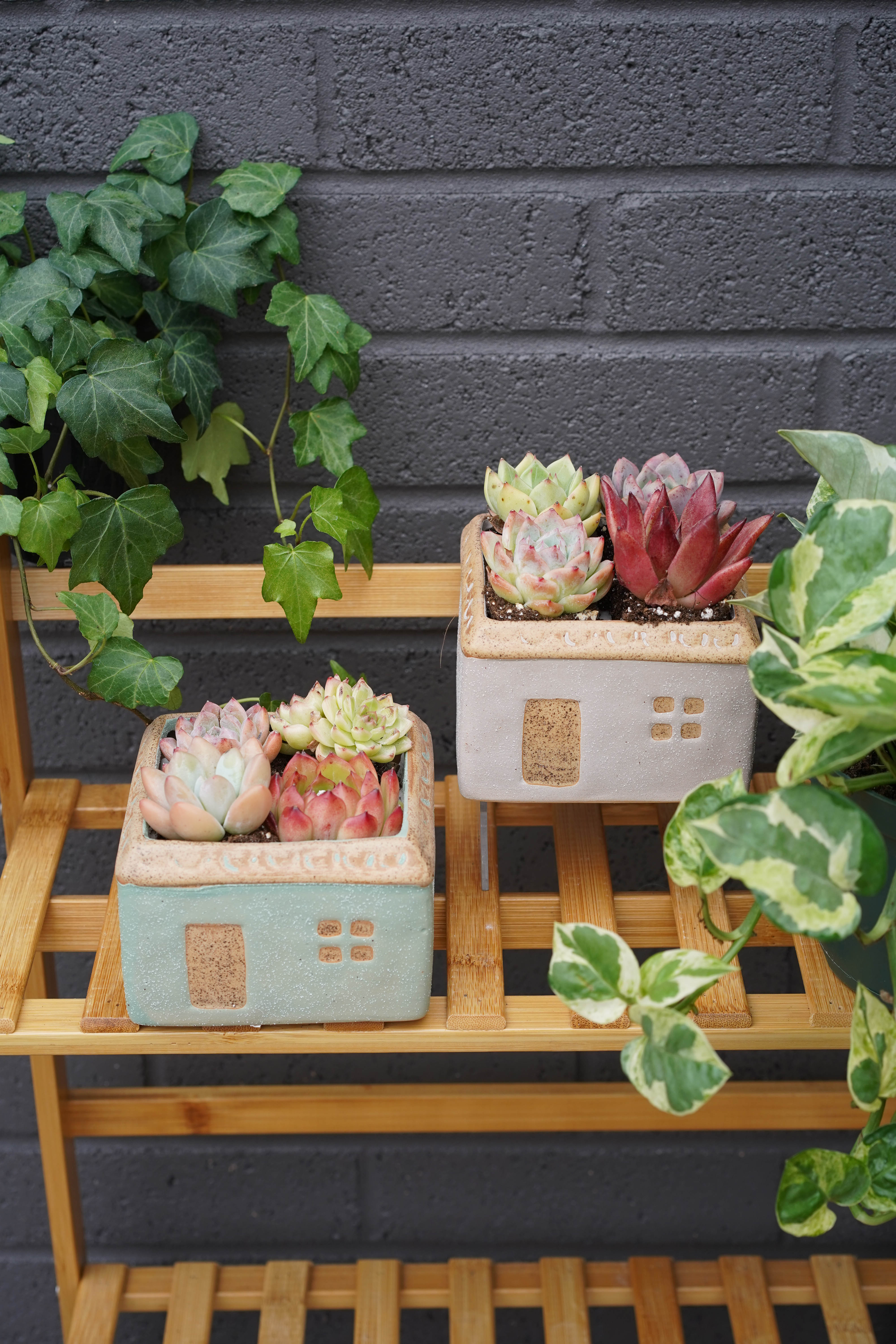 succulent crate Sweet Home