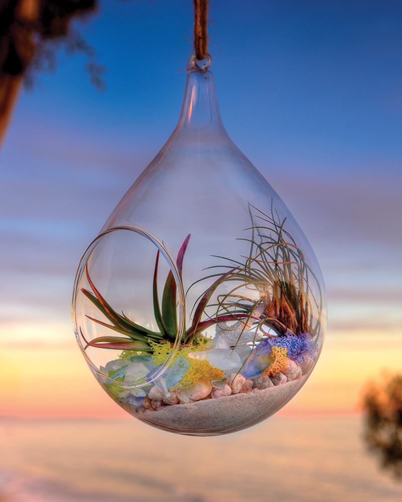 Beach Terrarium Kit 8oz