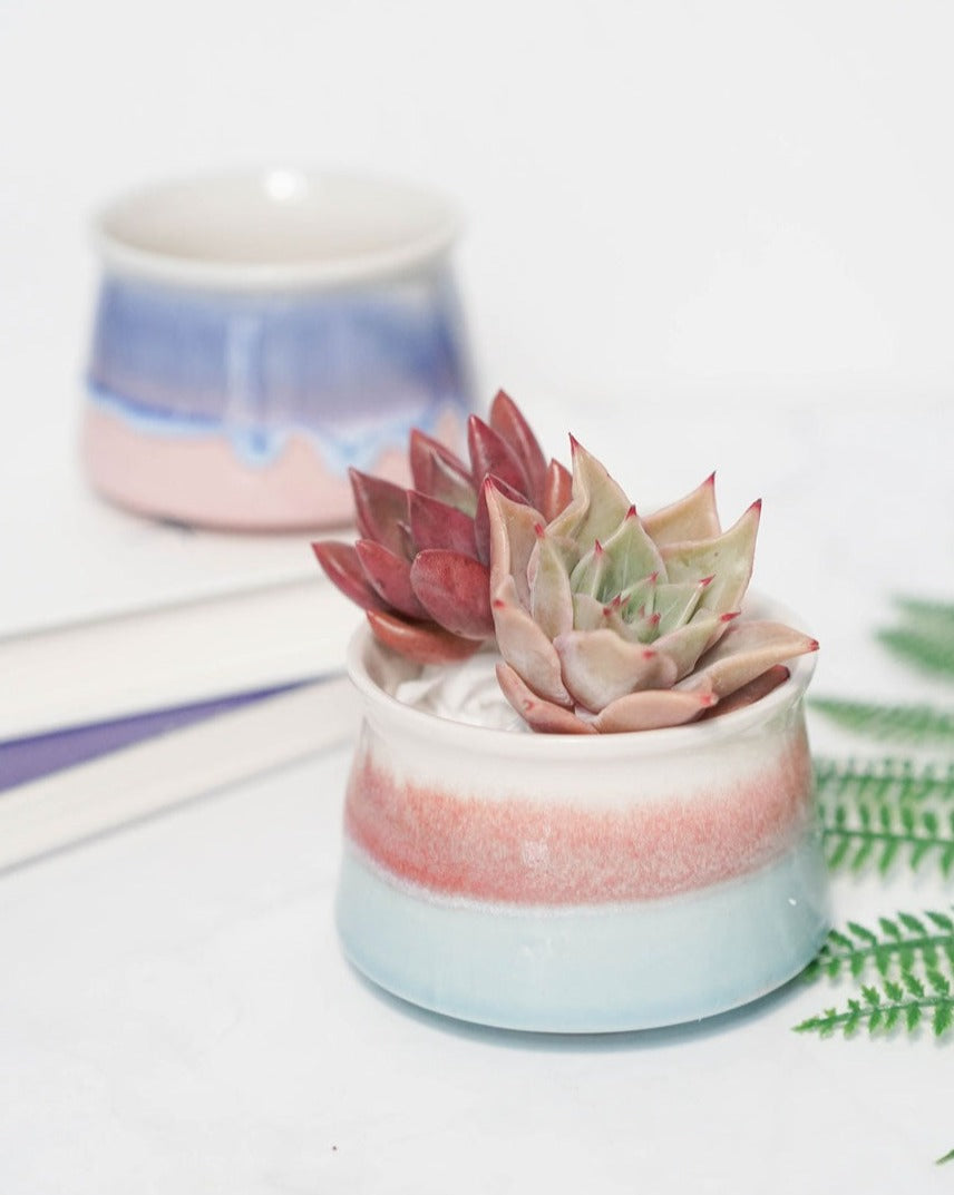 funnel plant pot Small Glazed Funnel Pots 1 Pot