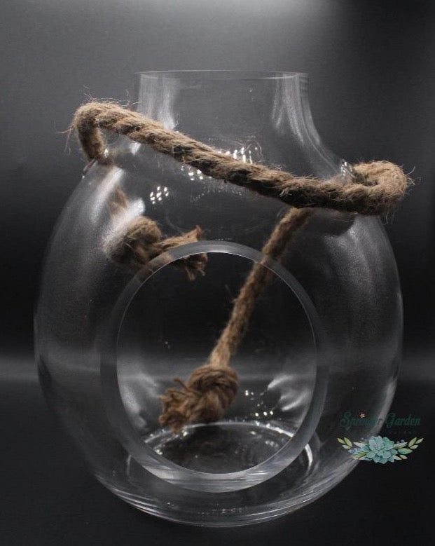 glass terrarium tabletop planter Hanging Glass Terrarium / Planter – Springer Hobbies