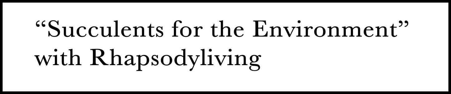 “Succulents for the Environment” with Rhapsodyliving