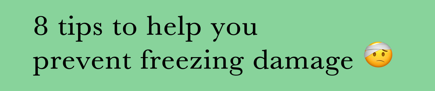 8 tips to help you prevent freezing damage