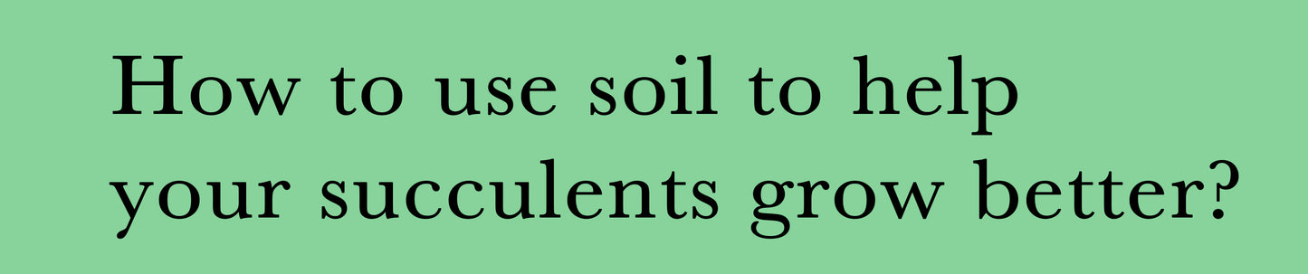 How to use soil to help your succulents grow better?