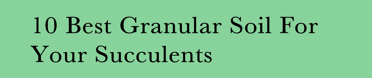 10 Best Granular Soil For Your Succulents