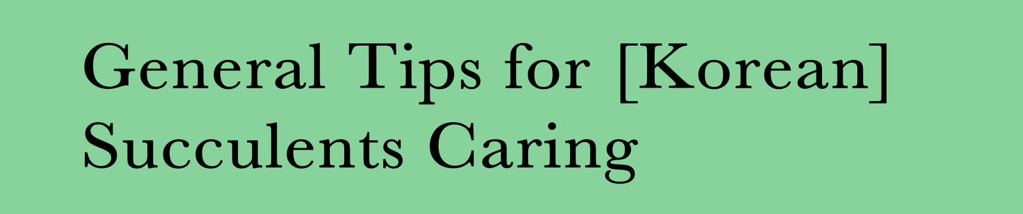 General Tips for [Korean] Succulents Caring