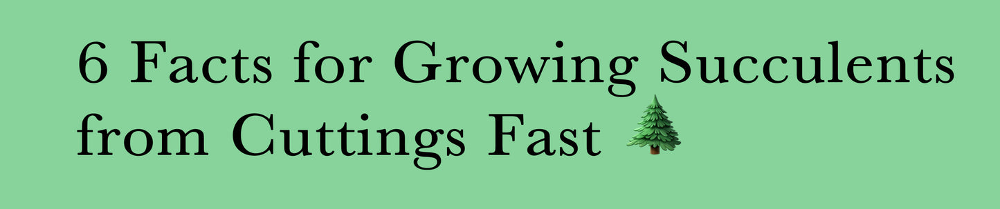 6 Facts for Growing Succulents from Cuttings Fast