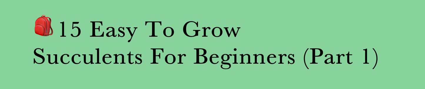 15 EASY TO GROW SUCCULENTS FOR BEGINNERS (Part 1)