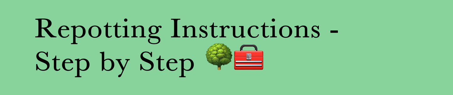Repotting Instructions - Step by Step