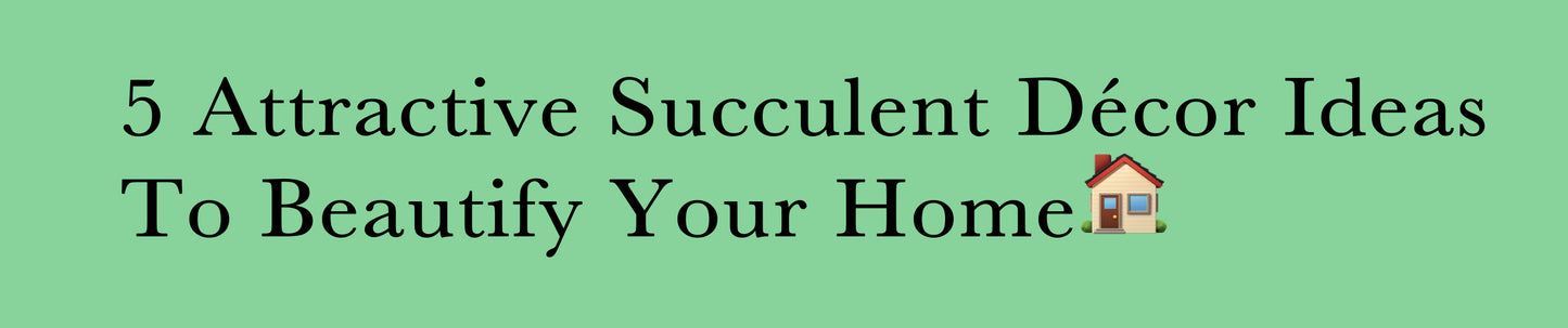 5 Attractive Succulent Décor Ideas To Beautify Your Home