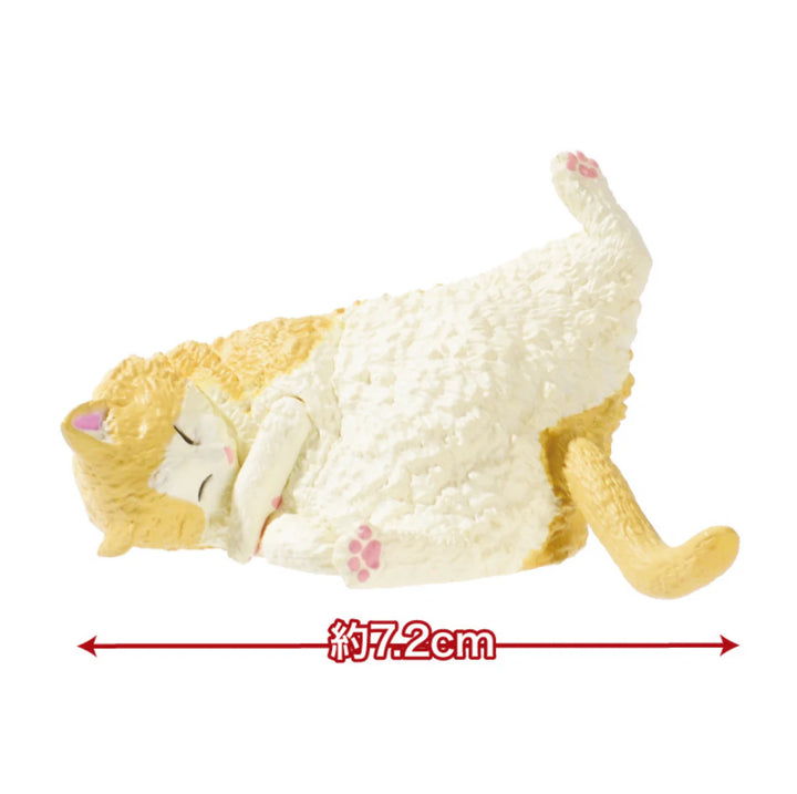 Sleepy Still Sleepy Blind Box 2