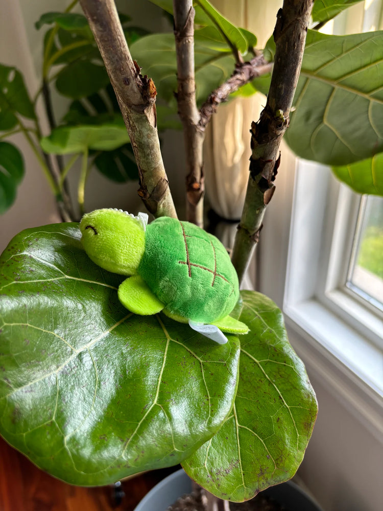 Bun Turtle keychain