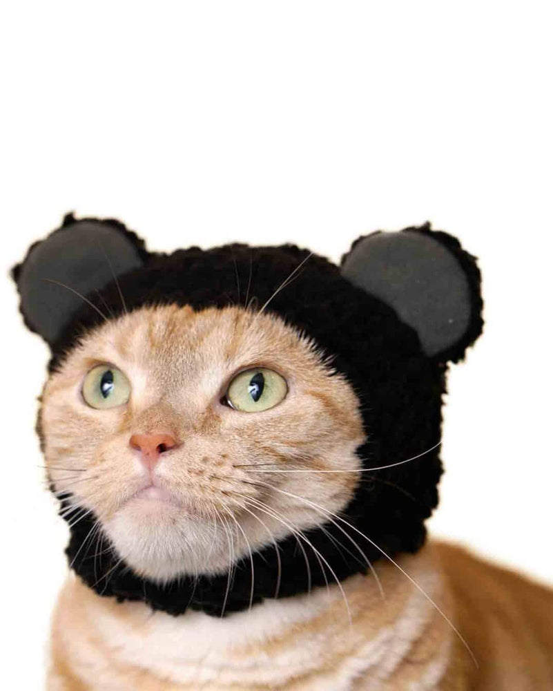 Blind Box - Bear Cat Cap