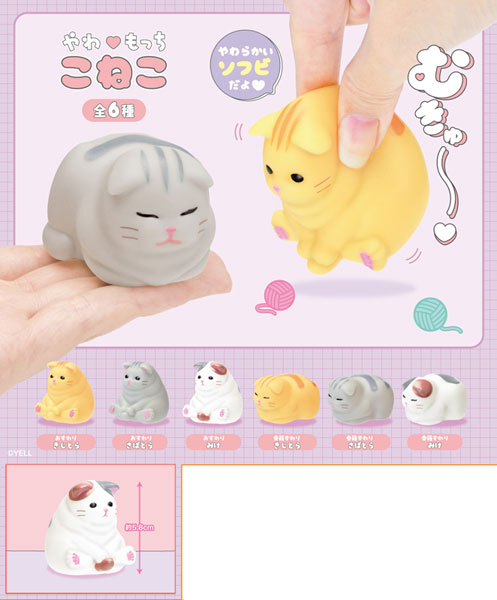 Mochi Kittens