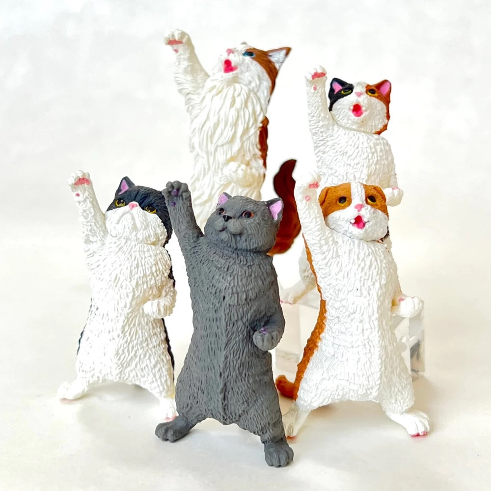 Nyaoooo!! Cats Blind Box