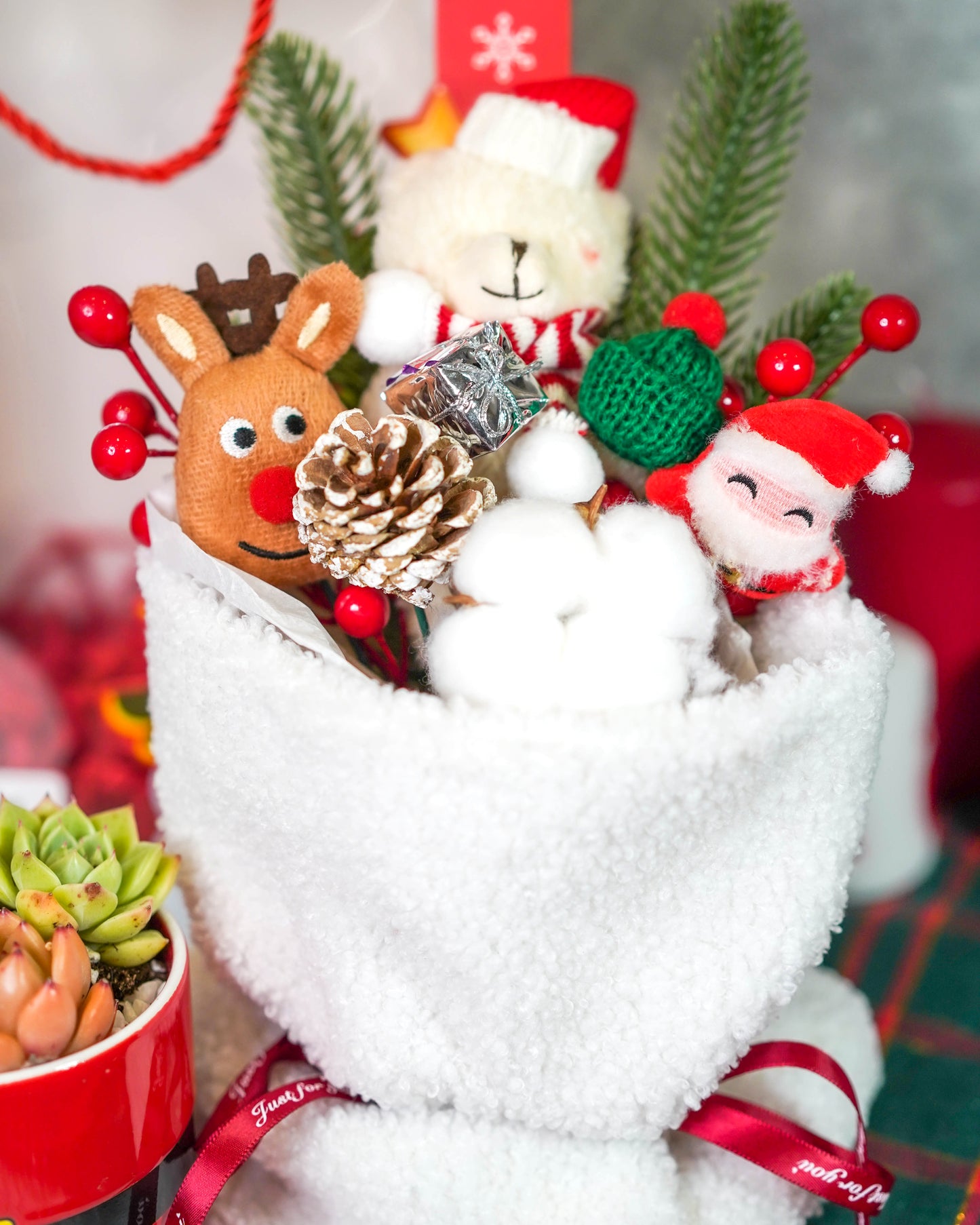 succulents as christmas gift Santa Bouquet" Korean Succulents Combo
