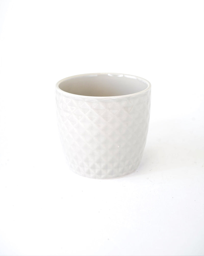 Checkered Patterned