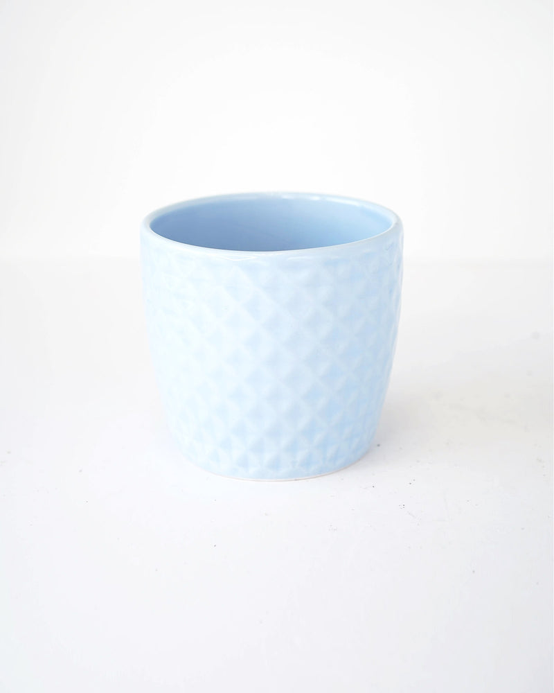 Checkered Patterned