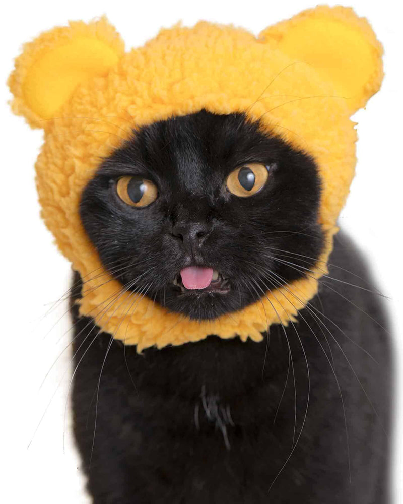 Blind Box - Bear Cat Cap