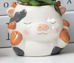 Animal Friends Series