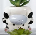 Reverse Animal Series