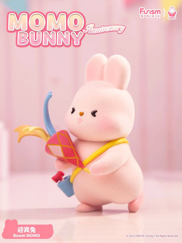 Bunny Series - Box Momo Blind Daily MOMO – Kawaii Funismglobal