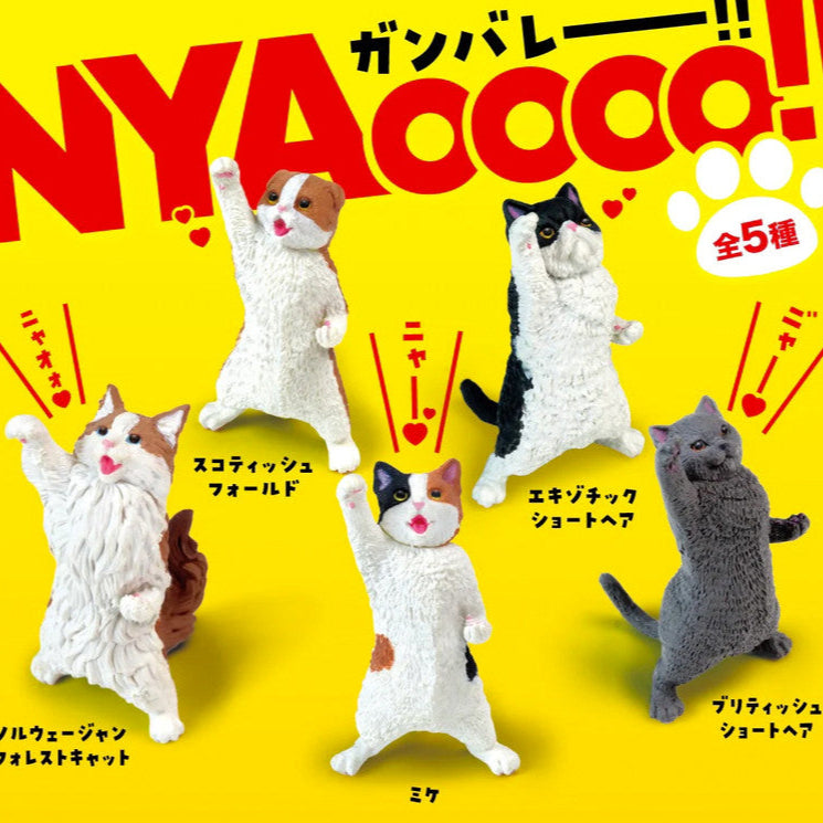 Nyaoooo!! Cats Blind Box