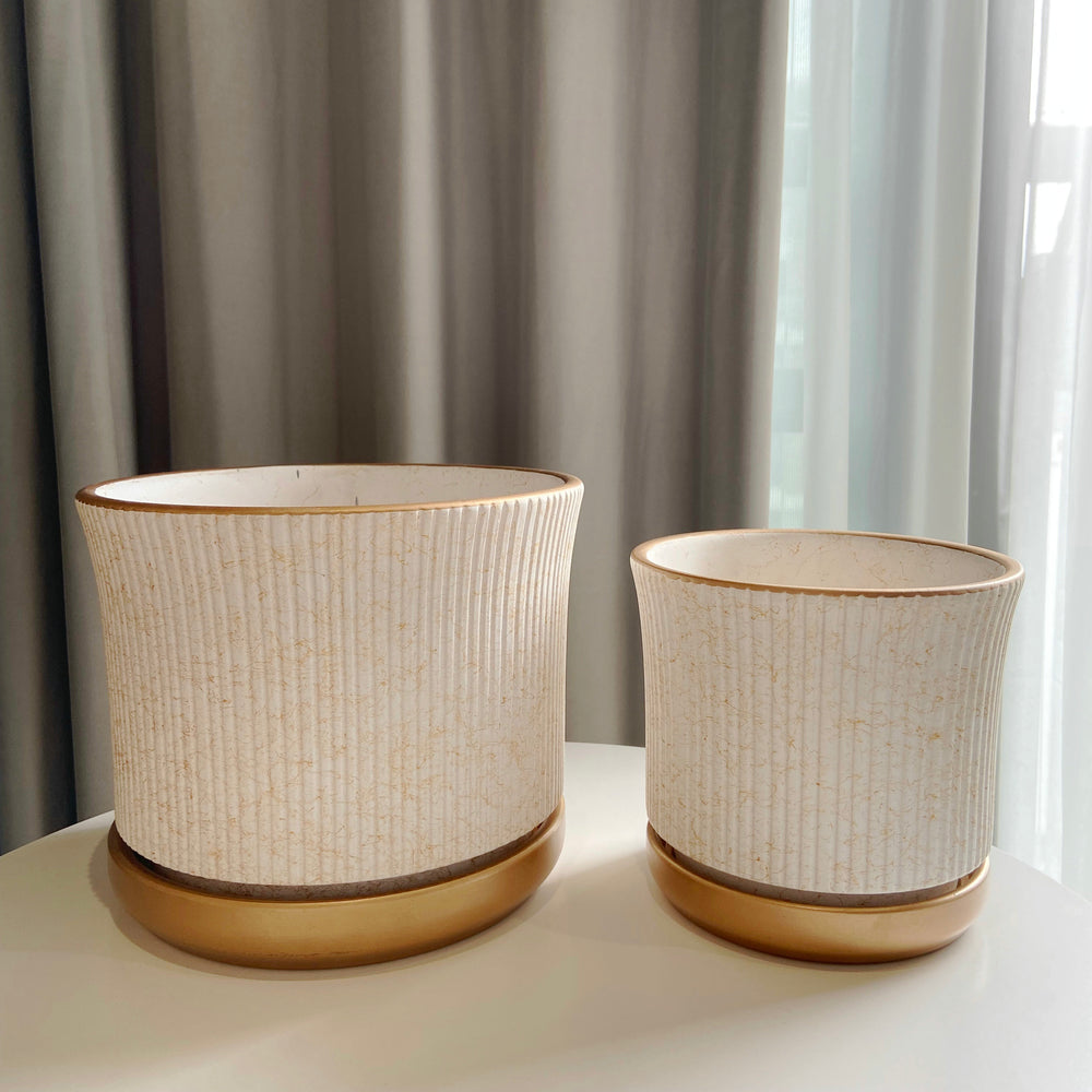 Marble Texture with Saucer