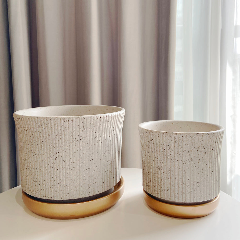 Marble Texture with Saucer