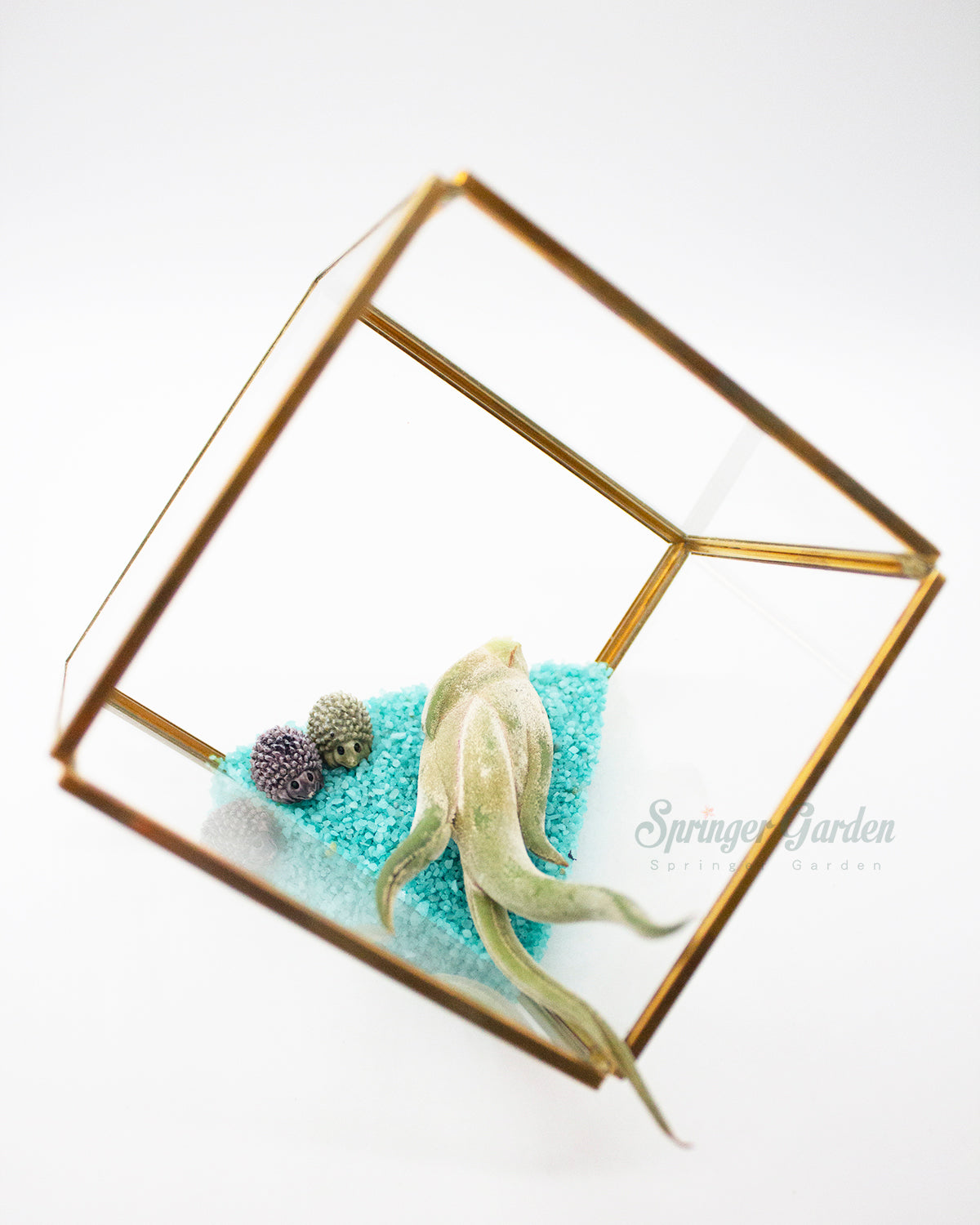 Toronto's 5-star Bestseller nursery store selected rare succulents; houseplants, indoor plants, selected handmade planters with a drainage hole, produced by ourselves, wholesale. Plant delivery Toronto, GTA, Mississauga, shipping Canada, United States. Pot/Pottery/Handmade/Ceramic/Glazed/Table Decor/Indoor Decor