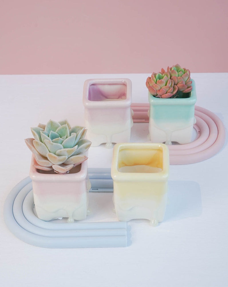 Succulent Assortment with Dripping Texture Planters