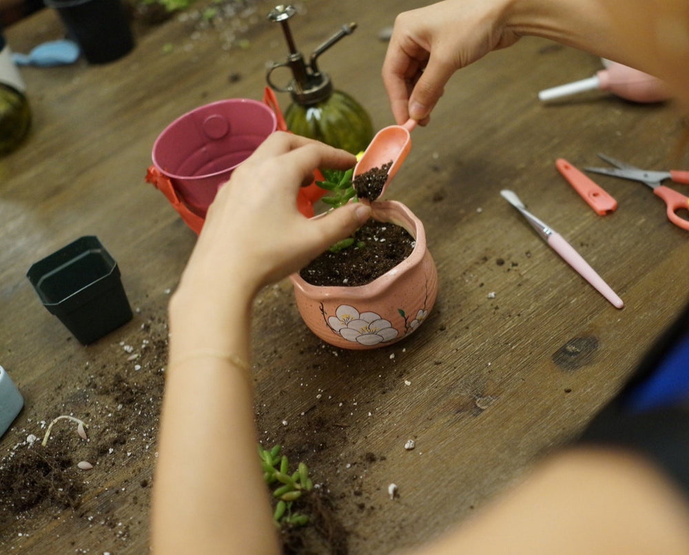 Repotting Fee/Per Plant