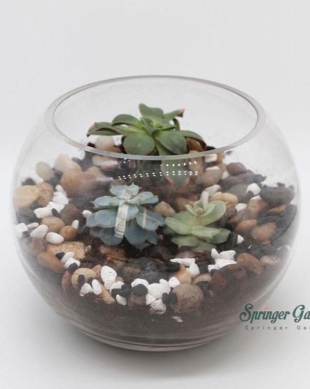 Large Geometric Terrarium, Handmade Terrarium, Stained Glass Terrarium, Indoor Gardening, Air Plant Holder, Glass Box, Succulent Planter