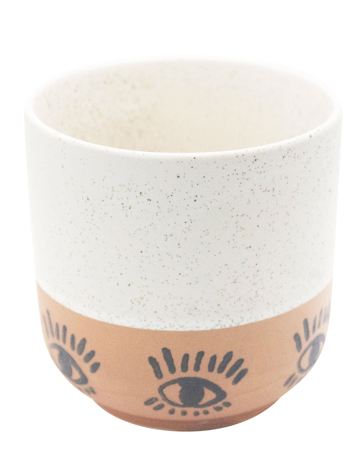 Ceramic Succulent Planter with Succulent Pot/Pottery/Handmade/Ceramic/Glazed/Table Decor/Indoor Decor/Tabletop Planter Toronto Canada Nursery Store Korean Rare Succulents