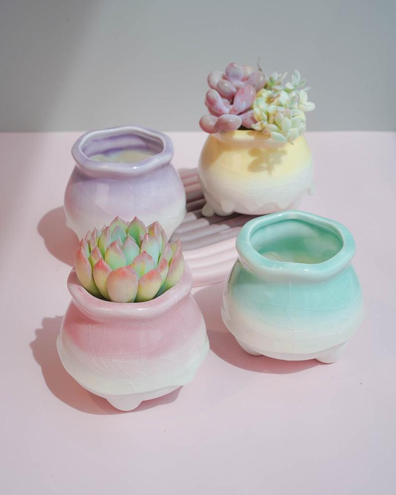Succulent Assortment with Dripping Texture Planters