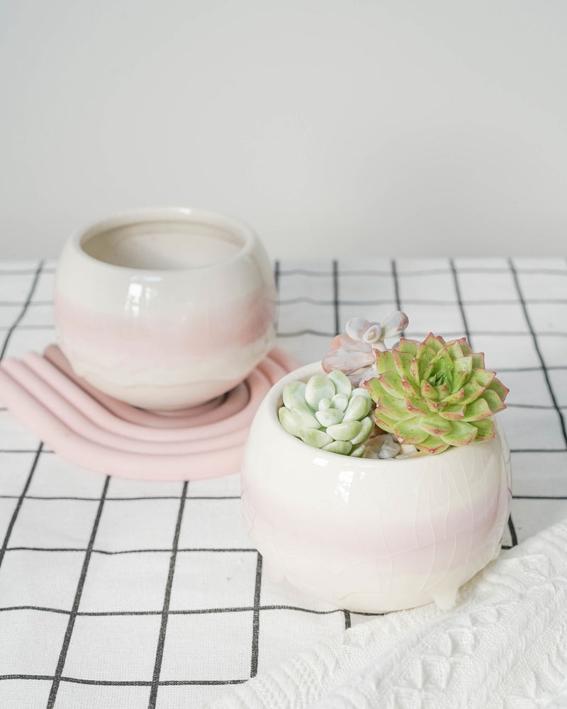 Succulent Assortment with Dripping Texture Planters