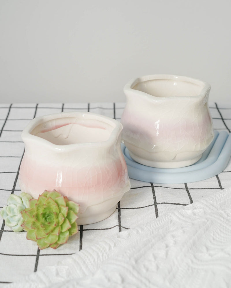 Succulent Assortment with Dripping Texture Planters