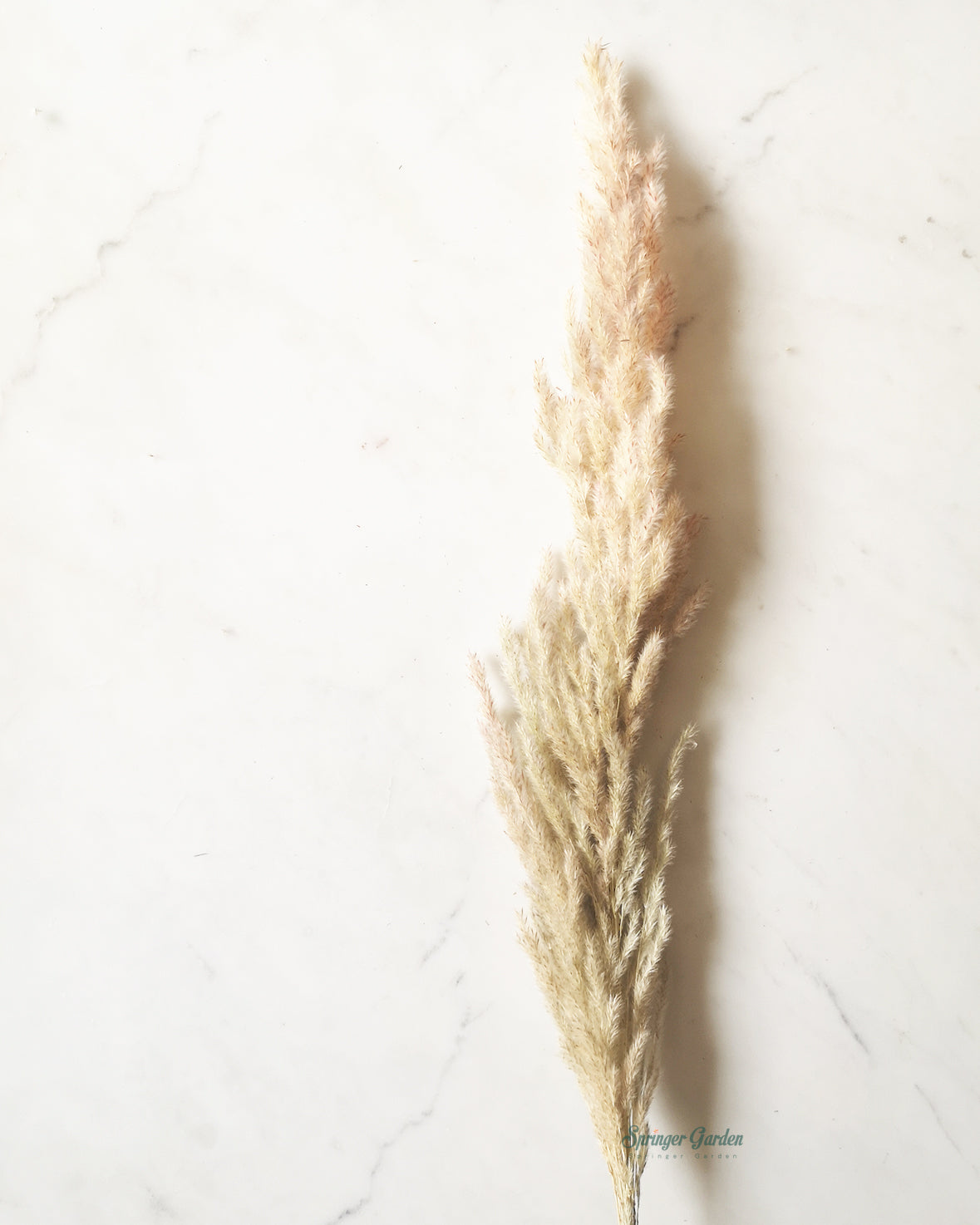 Toronto's 5-star Bestseller nursery store selected local & Korean rare succulents; houseplants, indoor plants, selected handmade planters with a drainage hole, pots, bonsai pots, produced by ourselves, wholesale. Ceramic Planter With Drainage Hole Cactus Succulent Plant Pot/Small Fern Flower Pot Gift Garden Desk Pottery/Handmade/Ceramic/Glazed/Table Decor/Indoor Decor/Tabletop Planter