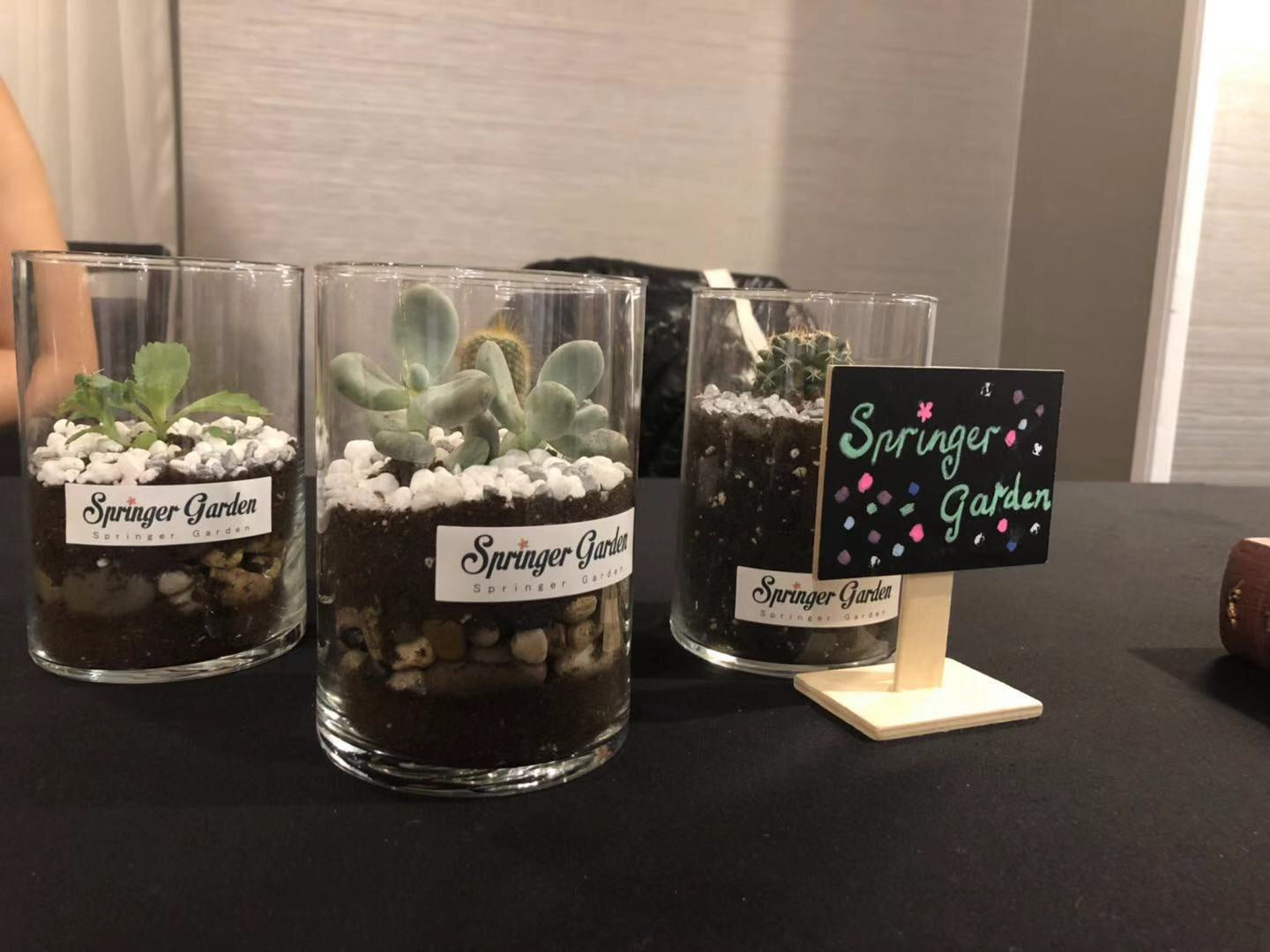 glass table with succulents Cylinder Glass Terrarium – Springer Hobbies